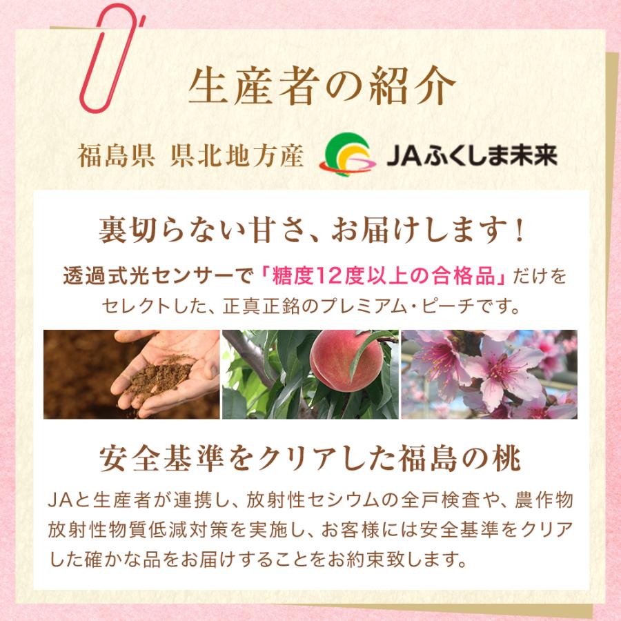 桃 福島 ミスピーチ 特秀品 白桃系 硬めの晩成種 1箱6-7玉入 約2kg 8月18日-9月12日頃発送 ギフト もも モモ 果物 フルーツ 日付指定不可 同梱不可 沖縄不可 |  | 09