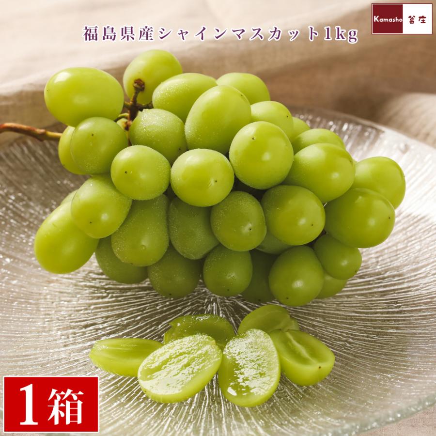 福島県産 シャインマスカット 10月中旬-下旬発送 1箱に2-3房 約 1kg 種