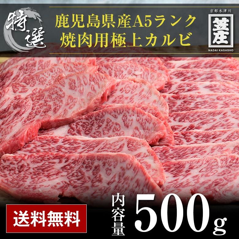 送料無料 特撰 鹿児島県産 黒毛和牛 5等級 A5 ランク 焼肉用 カルビ 500g 化粧箱入り ギフト お中元 お歳暮 内祝い 誕生日 のし対応 肉 お肉 牛肉 焼肉