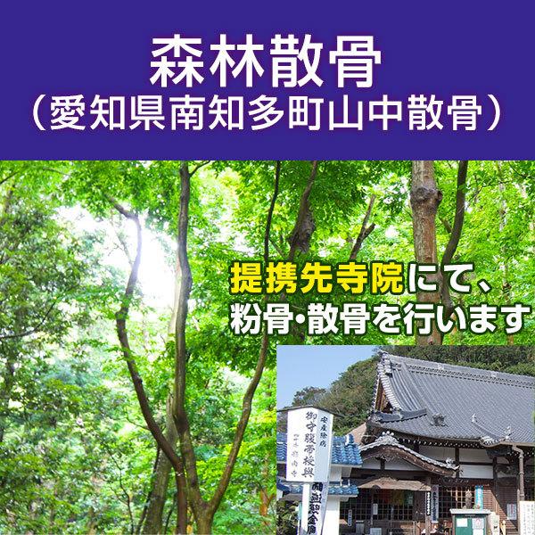 森林散骨 愛知県 散骨代行 散骨葬 粉骨
