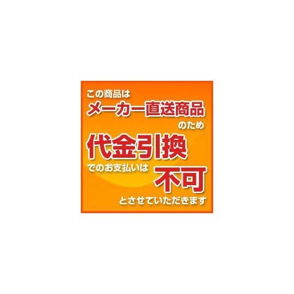 エーコー 家庭用耐火金庫 ONS-FE ガードマスター テンキー式/指紋照合式｜nadeshico｜02