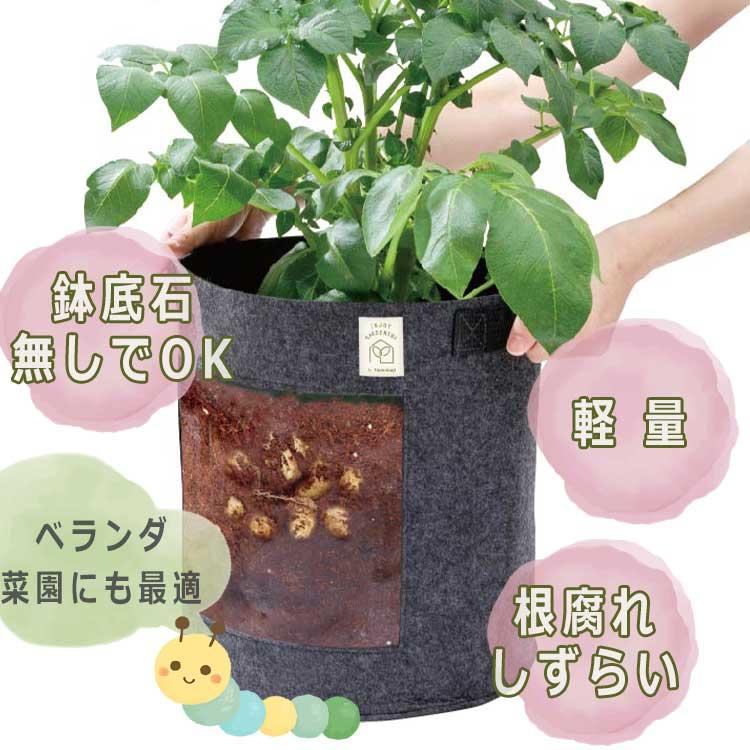 アルファックス 不織布プランター 植木鉢 直径28×高さ30cm ファミカジ 育てる フェルト 丸深型 AP-625001 グレー 親子で楽しむ 植物観察 家庭菜園 花｜nadeshico｜05