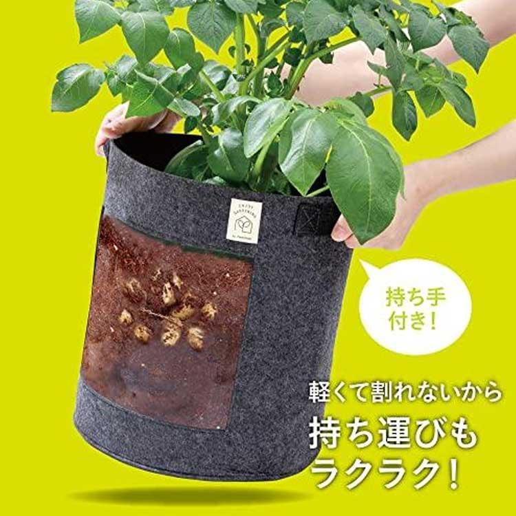 アルファックス 不織布プランター 植木鉢 直径28×高さ30cm ファミカジ 育てる フェルト 丸深型 AP-625001 グレー 親子で楽しむ 植物観察 家庭菜園 花｜nadeshico｜09