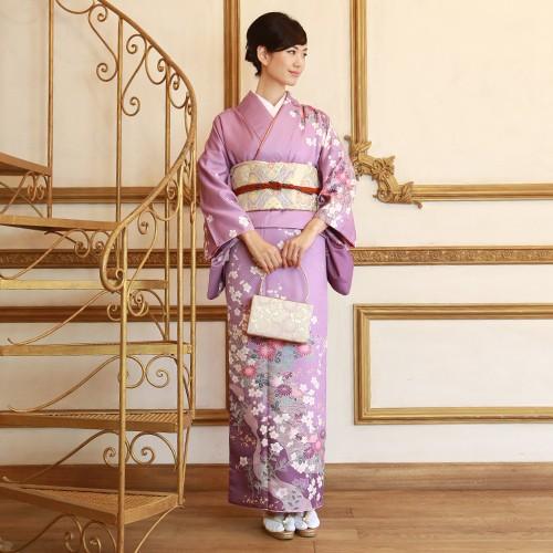 訪問着 19点フルコーディネートレンタルセット「紫地に菊 桜 桔梗