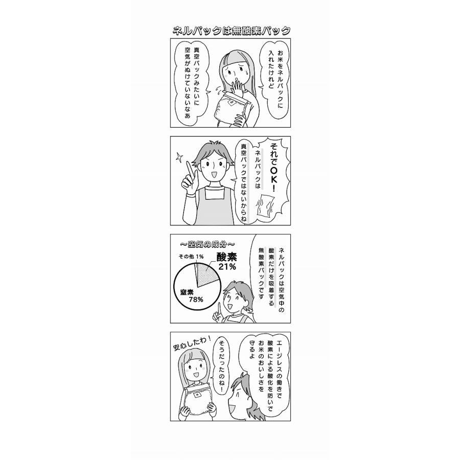 [即納] [10箱セット] ネルパック 5kg用 お米保存袋 [簡単Ｗチャックタイプ] (5kgの保存袋を30個作成できます) - 一色本店（101-101005）の画像