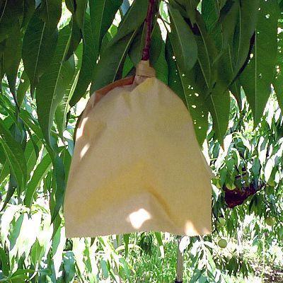 もも用 果実袋 K-5 KHF #7 止め金有り 底有り 一重掛け袋 50枚/袋