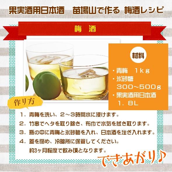蔵元直送】送料無料：果実酒用 梅酒用 日本酒 1800ml×2本