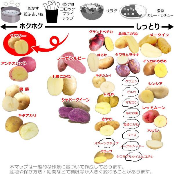 じゃがいも サッシー 種芋 500g ジャガイモ L〜Sサイズ : なえ屋の羽場