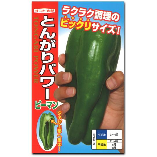 超人気 ピーマン 種子 とんがりパワー 粒