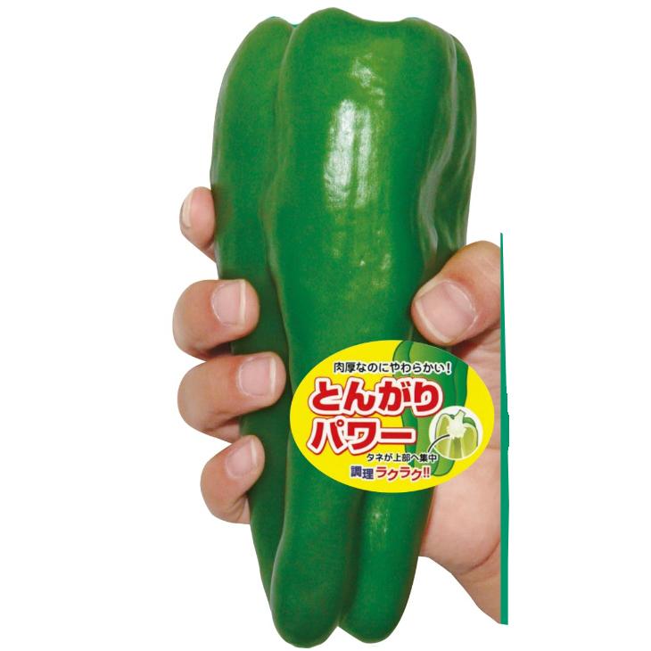 超人気 ピーマン 種子 とんがりパワー 粒