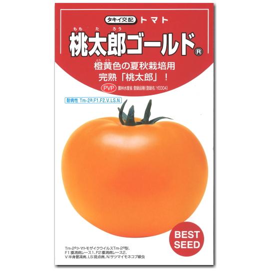 大玉トマト 種子 桃太郎ゴールド 16粒 とまと｜naeyanohaba