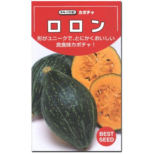 140円 宅配 カボチャ 南瓜 種子 ロロン 8粒 かぼちゃ