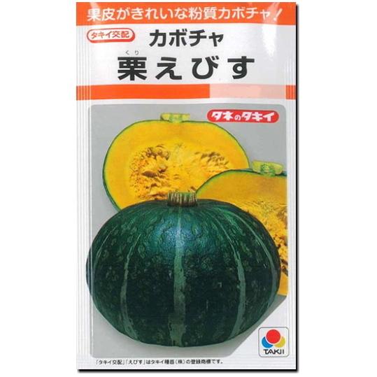 191円 想像を超えての カボチャ 南瓜 種子 栗えびす 19粒 かぼちゃ