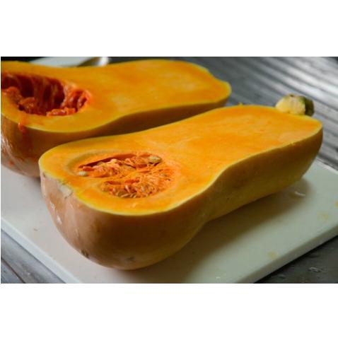 カボチャ 安全 南瓜 種子 バターナッツ かぼちゃ 18粒