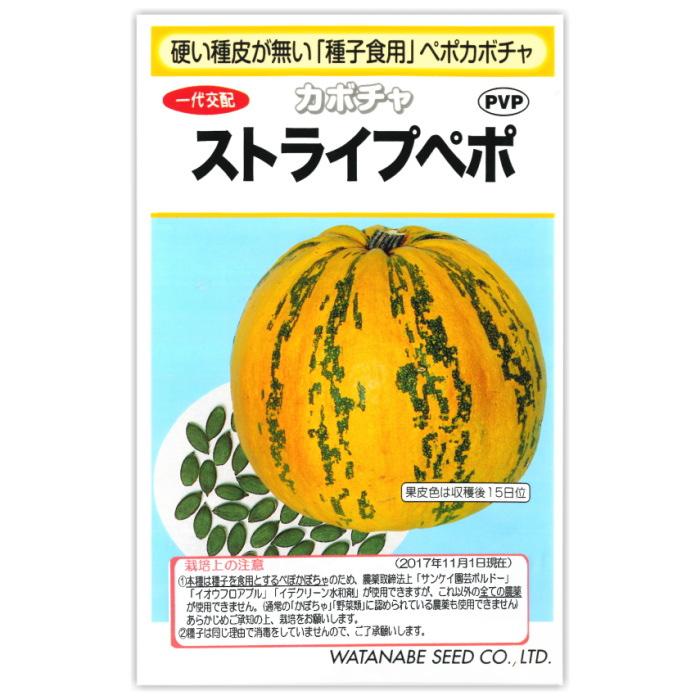 カボチャ 南瓜 種子 ストライプペポ 10粒 硬い種皮が無い 種子食用 かぼちゃ なえ屋の羽場 通販 Yahoo ショッピング