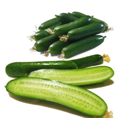 キュウリ 胡瓜 種子 ラリーノ 10粒 ミニきゅうり : なえ屋の羽場