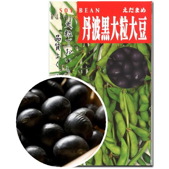 激安単価で 大豆 種子 丹波黒大粒大豆 1dl