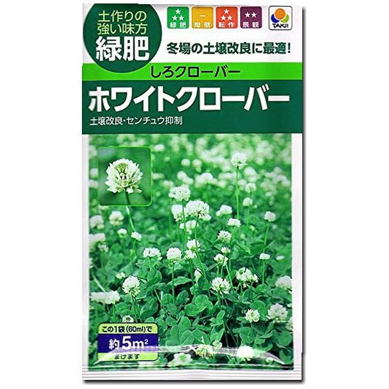 しろつめくさ しろクローバー 種子 タキイ種苗 ホワイトクローバー （およそ5m2分