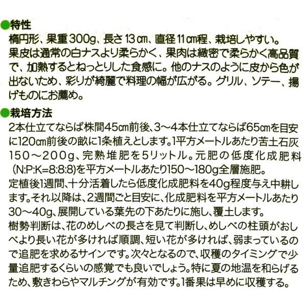 白ナス 種子 とろ〜り旨なす 揚げてトルコ 白なす 20粒 : なえ屋の羽場