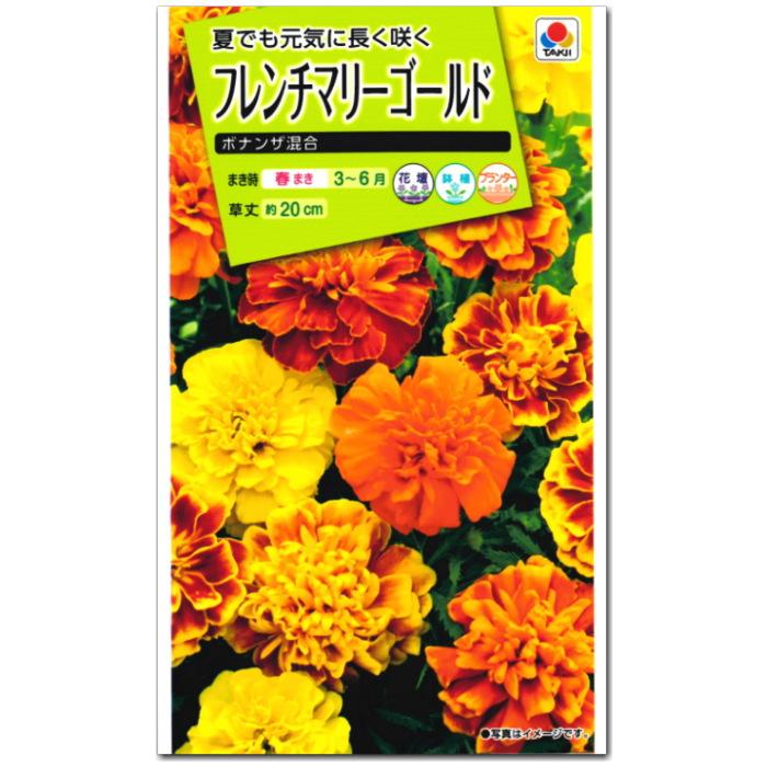 マリーゴールド様 733-FMN590.jpg?1