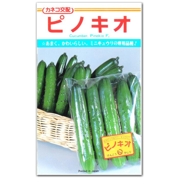 当季大流行 ミニキュウリ 胡瓜 種子 ピノキオ 19粒 きゅうり Whitesforracialequity Org