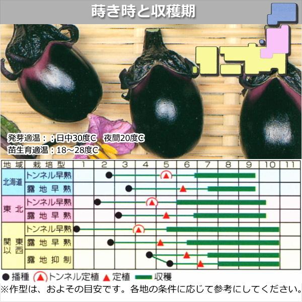 ちびナスページ 一口小なす・ちび丸 種子 0.6ml : なえ屋の羽場 - 通販 - Yahoo