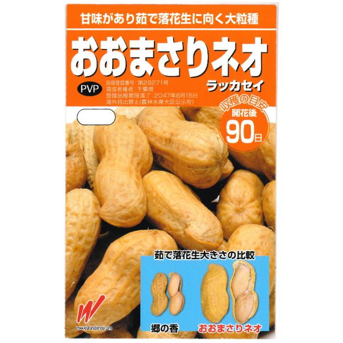 落花生 種子 おおまさりネオ  10粒（Yahoo!・なえ屋の羽場）