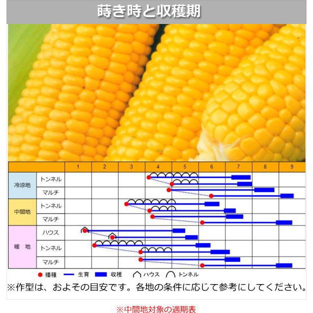 トウモロコシ 種子 スイートコーン あまいんですパワー85 200粒