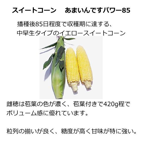 トウモロコシ 種子 スイートコーン あまいんですパワー85 200粒