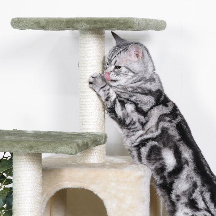 ねこの休ら木 レオ_2