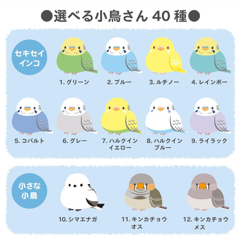 シマエナガ 水筒 400ml スリム 軽量 保温 保冷 かわいい 鳥 グッズ
