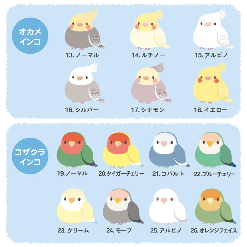 鳥 野鳥 とり 小鳥 プレート 14枚セット 盾3個 【公式通販】