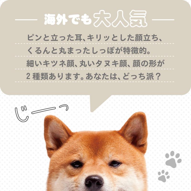誕生日 プレゼント 水筒 ボトル エアリスト 柴犬 シバイヌ 名入れ ボトル 400ml しばいぬ オリジナル デザイン 母の日 じーっとシバイヌさんボトル Ar Sbin Nie 名入れギフトのおもしろ名札工房 通販 Yahoo ショッピング
