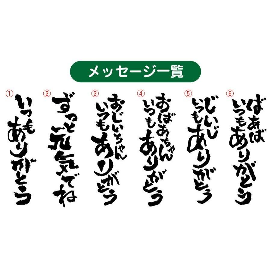 母の日 タンブラー サーモスタンブラー タンブラー名入れ ステンレスタンブラー コップ グラス サーモス 名入れ 長寿タンブラー JDE420｜nafudaya｜07