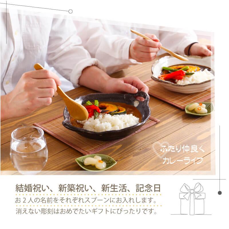 カレー皿 おしゃれ パスタ皿 食器 皿 陶器 和食器 モダン 電子レンジ
