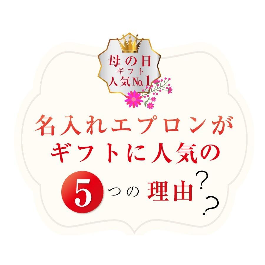 出色 母の日 名入れ エプロン ギフト 人気 かわいい おしゃれ 実用的 女性 ラッピング 花 猫 イラスト Quot ハッピーエプロンquot Wantannas Go Id