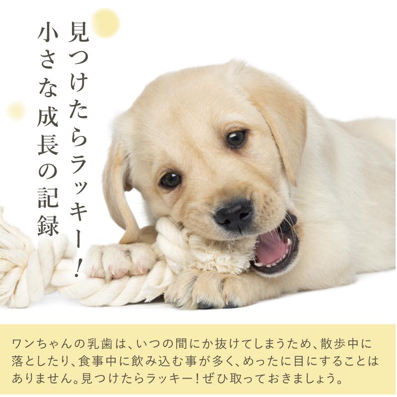 ギフト 犬好き 愛犬 グッズ 雑貨 桐製 桐箱 木製 日本製 メモリアル