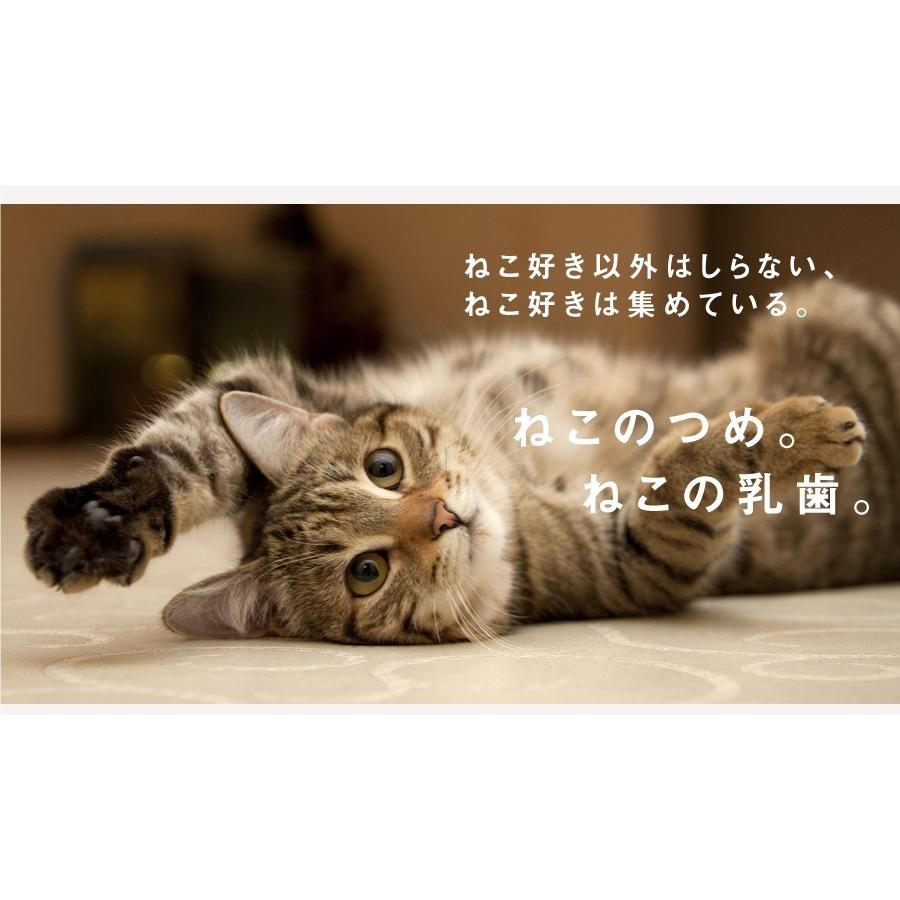 猫好き ねこ ネコ 愛猫 ペット グッズ メモリアル 猫専用 ツメ