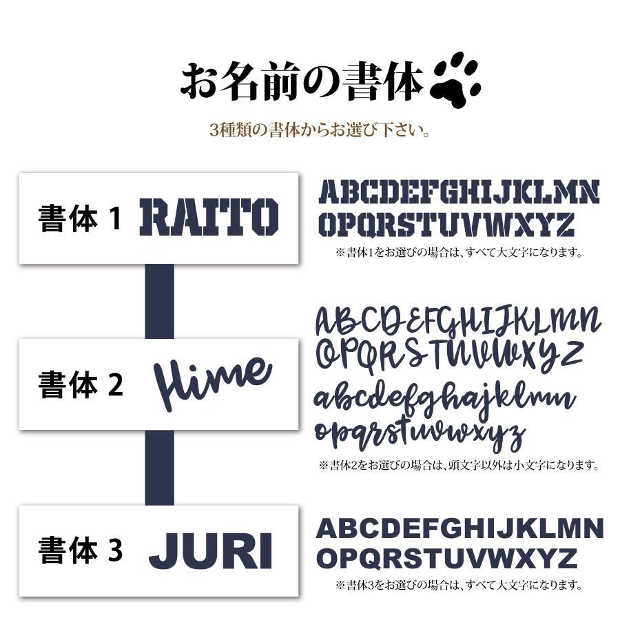 名前 ランキング ペット