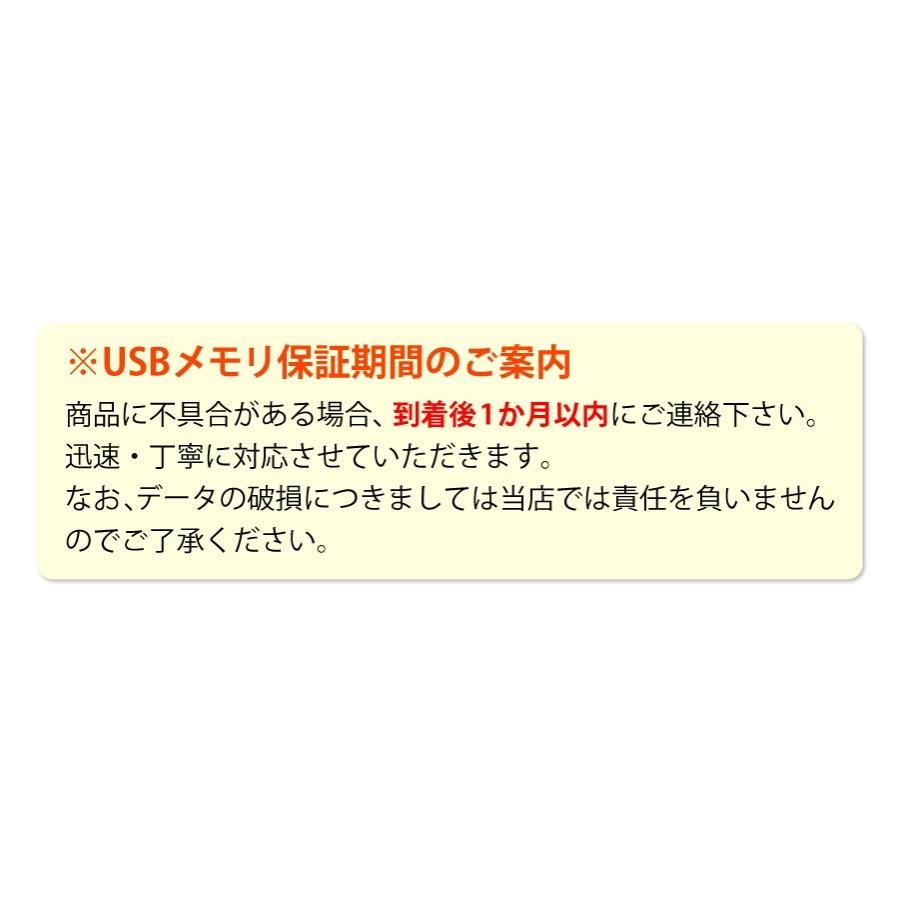 USB USBメモリ 16GB 木 木製 おしゃれ おもしろ 退職祝 就職祝 ギフト 名入れ 木製USBメモリ 16GB 5営業日出荷｜nafudaya｜11