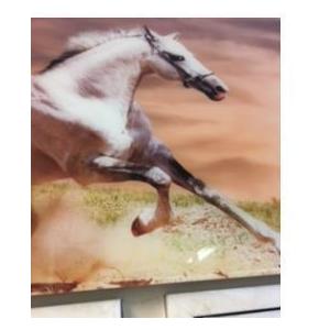 イタリア輸入アンティーク調ホワイトホースの絵白馬の絵白尾い馬の絵ゴールド淵 ゴールド額 | 