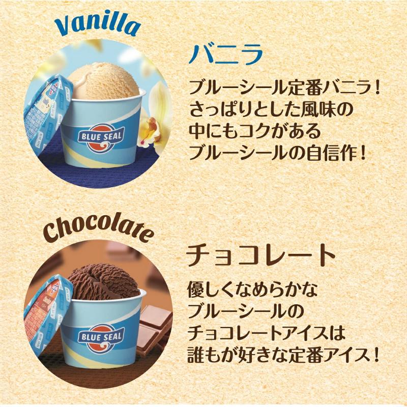 ブルーシール（BLUE SEAL） アイス 18個 ギフト 沖縄 アイスクリーム