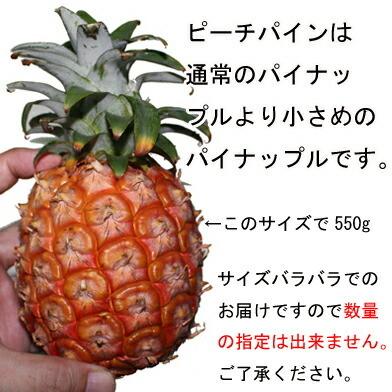 パイナップル 送料無料 沖縄産 ピーチパイン 業務用(大量) 15kgサイズ(15-22個) パインアップル_3