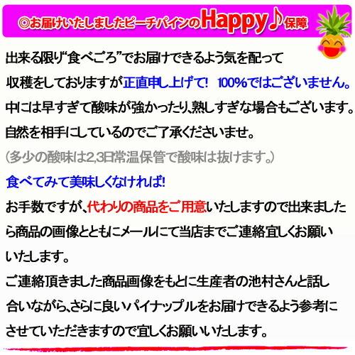 パイナップル 送料無料 沖縄産 ピーチパイン 業務用(大量) 15kgサイズ(15-22個) パインアップル_4