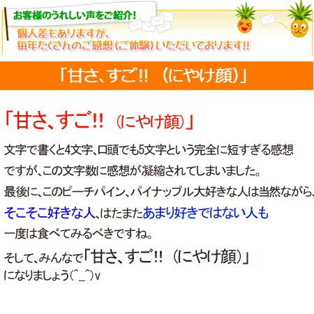パイナップル 送料無料 沖縄産 ピーチパイン 業務用(大量) 15kgサイズ(15-22個) パインアップル_5