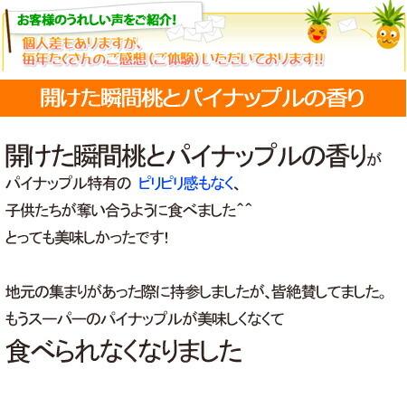 パイナップル 送料無料 沖縄産 ピーチパイン 業務用(大量) 15kgサイズ(15-22個) パインアップル_6