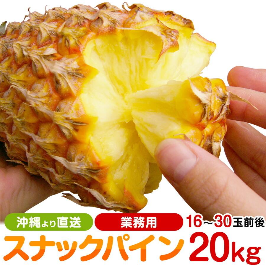 スナックパイン 沖縄産 パイナップル 約20kg (16?30個) 送料無料 ギフト パインアップル