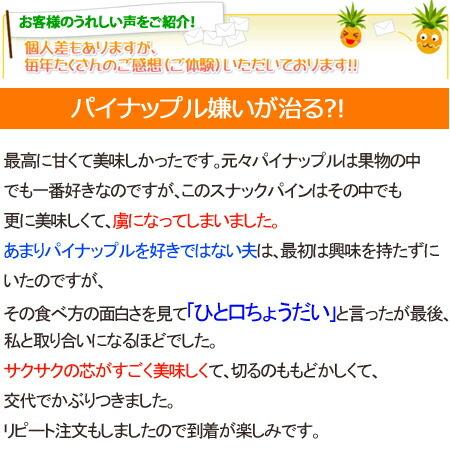 スナックパイン 沖縄産 パイナップル 約20kg (16?30個) 送料無料 ギフト パインアップル_1