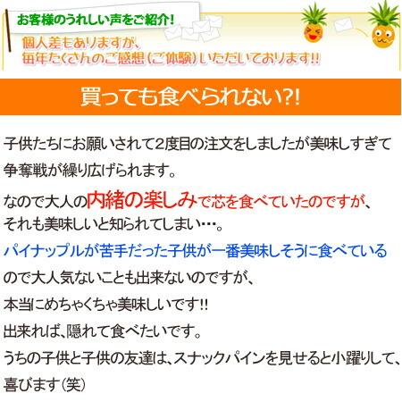 スナックパイン 沖縄産 パイナップル 約20kg (16?30個) 送料無料 ギフト パインアップル_2