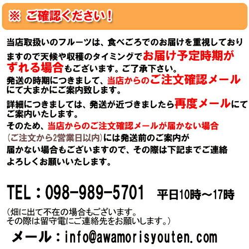 スナックパイン 沖縄産 パイナップル 約20kg (16?30個) 送料無料 ギフト パインアップル_7